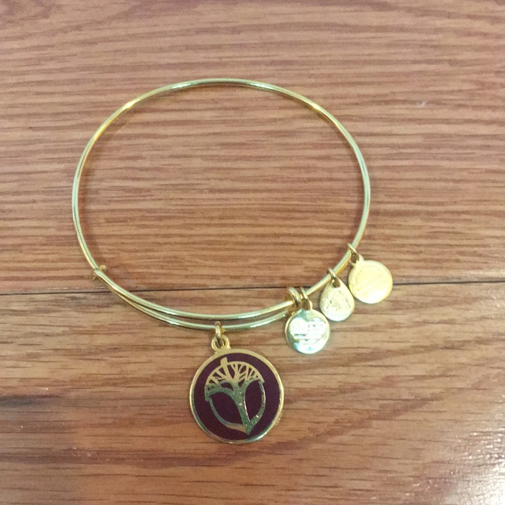 Alex And Ani Unexpected Miracles Bangle
